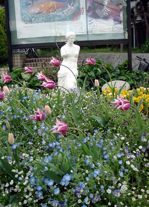 春の交差点の花