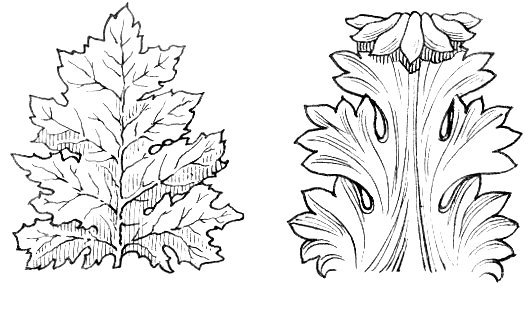 アカンサス 植物 文様 唐草図鑑